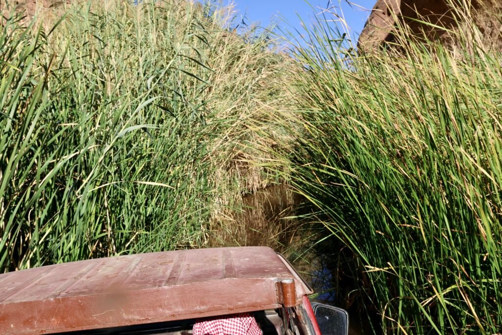 saoedi arabië 2025 11 06 (125)